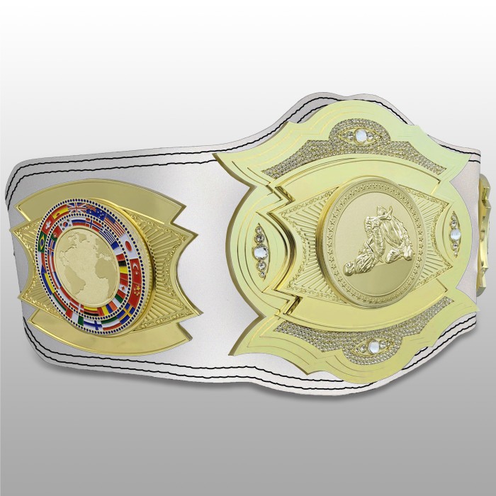 *NEW* PROGEMELITE JIU JITSU CHAMPIONSHIP BELT  - PROGEMELITE/G/JJG